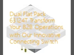 دو فلت پیک 63124T عملیات B2B خود را با سوئیچ اتصال نوآورانه ما تغییر دهید