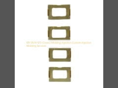 KR-SN14-125-Cover2 Molding Injection Custom Injection Molding Services